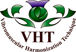 vht_logo